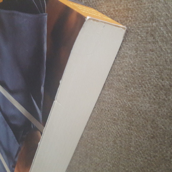 An Amish Village Mystery (books 2 and 3 of series), by Vannetta Chapman - Picture 9 of 10